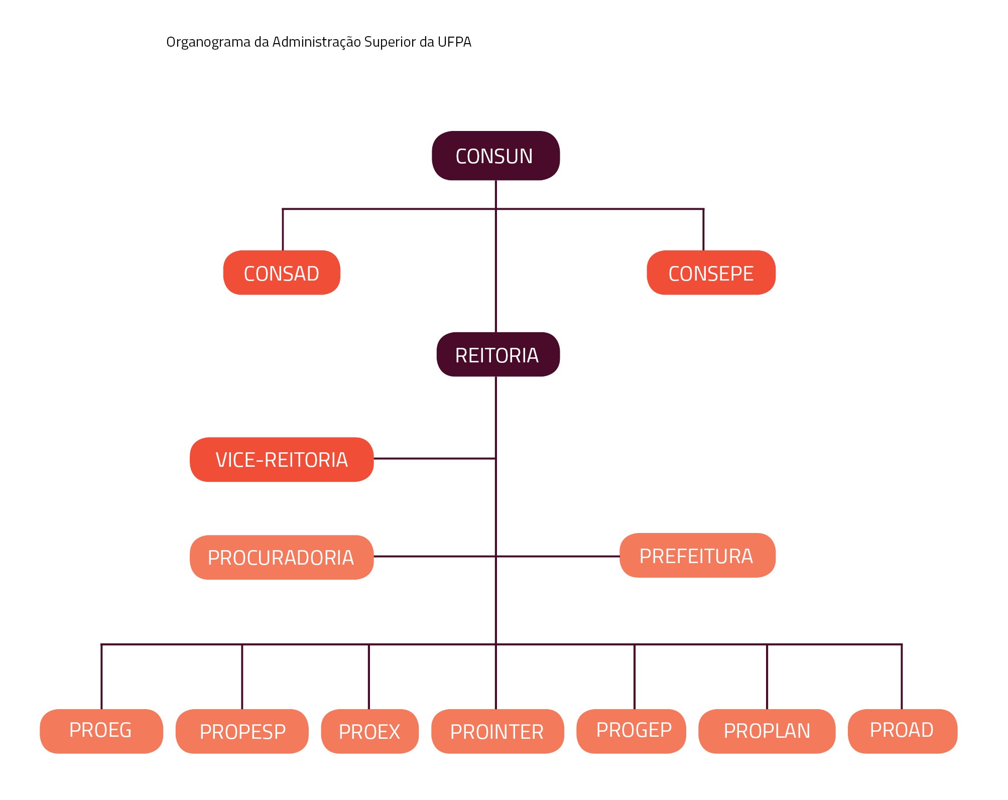 Tipos De Um Organograma